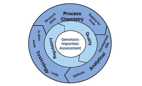 Genotoxic and Carry Over Impurities Development and Validation
